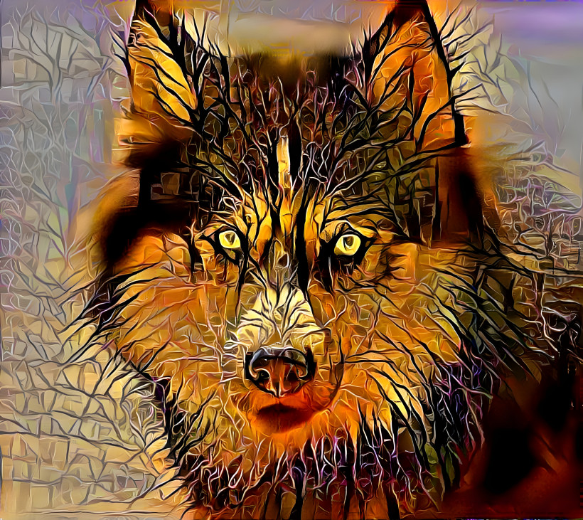 Desert wolf