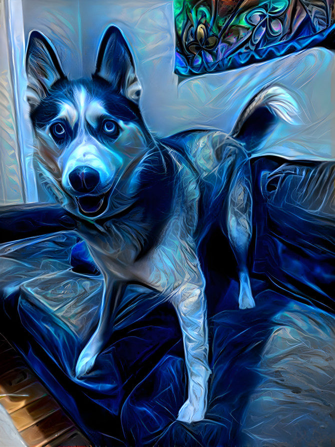 Blue puppy