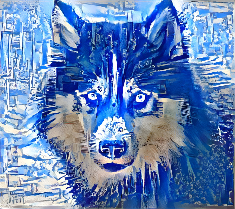 Blue wolf 