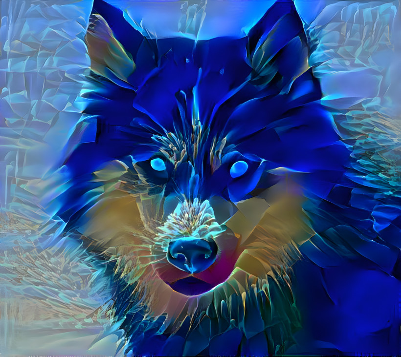 Blue wolf