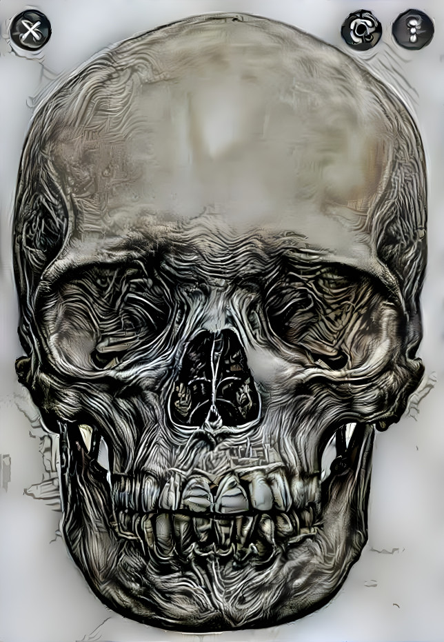 Skull