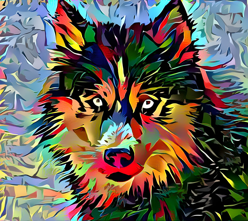 Rainbow wolf