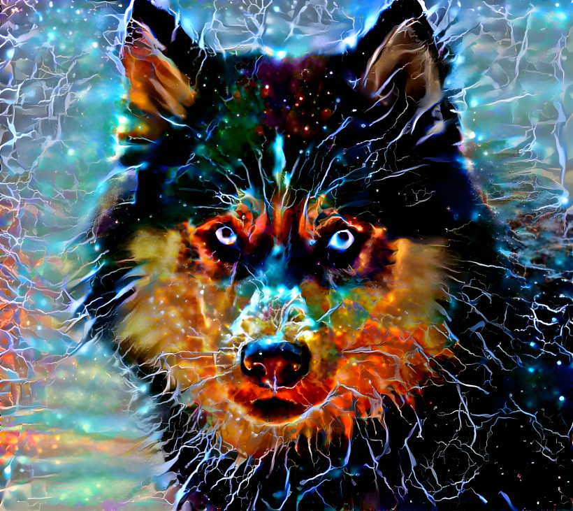 Mystic wolf