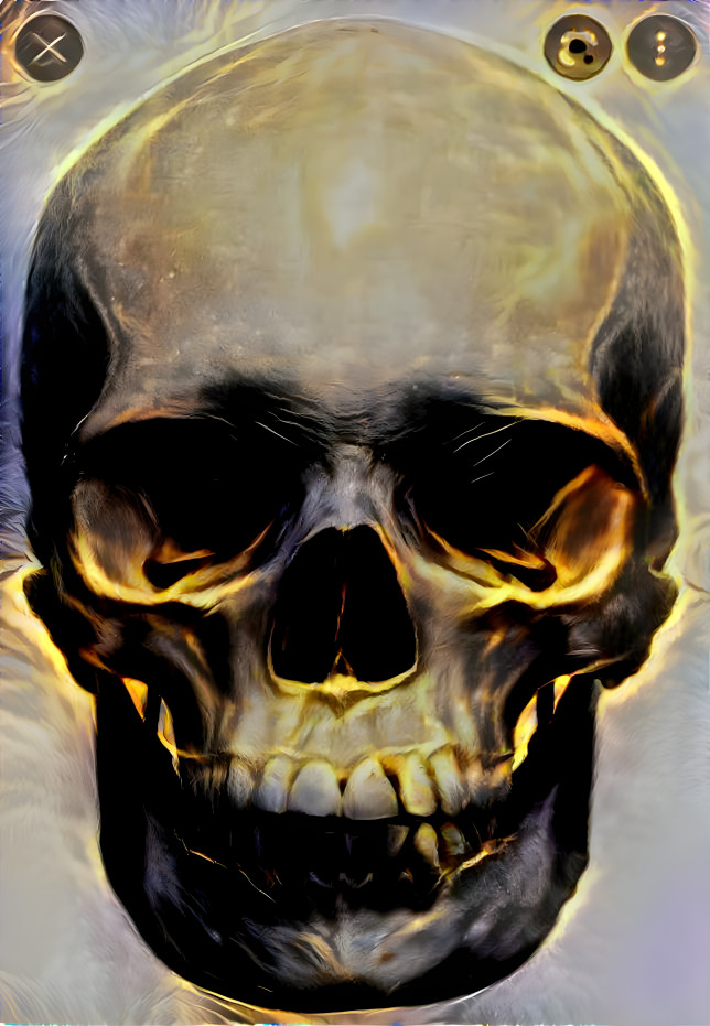 Hott skull