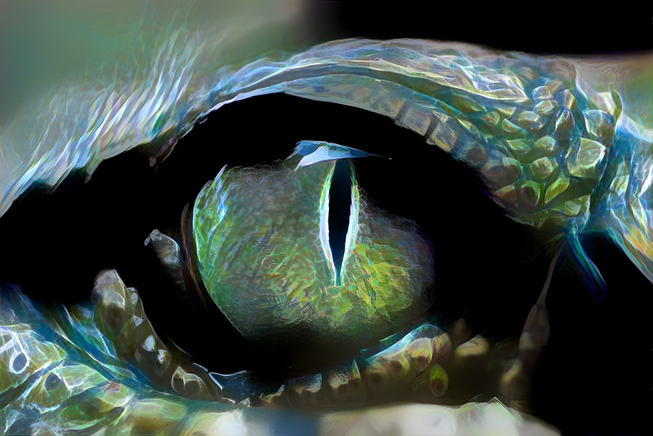 Crocodile Eye