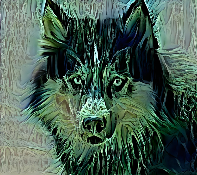 Wet wolf