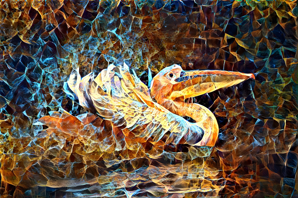 Pelican