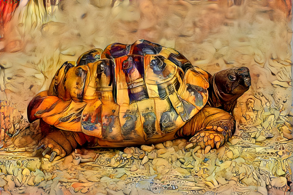 Turtle