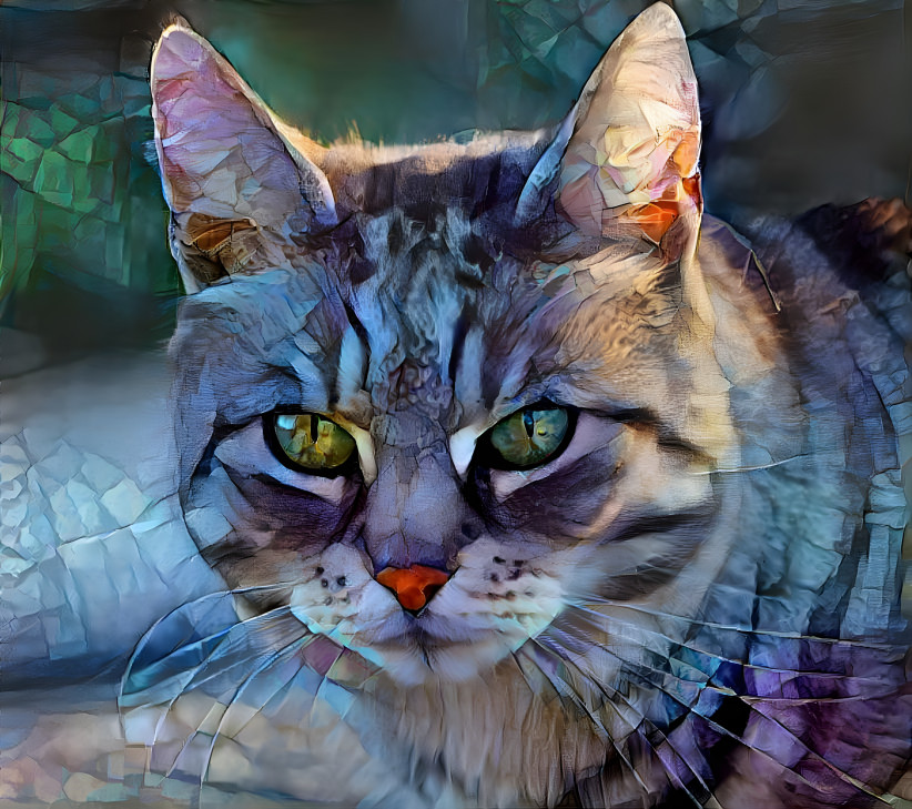 Katze Portrait