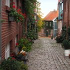 Historic cobblestone street with old buildings and lush foliage at dusk