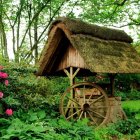 Charming stone cottage with wooden door, surrounded by lush flowers and greenery