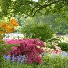 Colorful Landscape: Wooden Bridge, Stream, Flowers, Cottages, Sunlit Trees