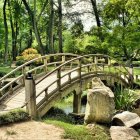 Tranquil garden scene with wooden bridge and lush greenery