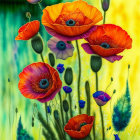 Bright red poppies with black centers in soft-focus meadow scene