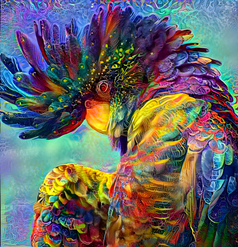 Colorful bird