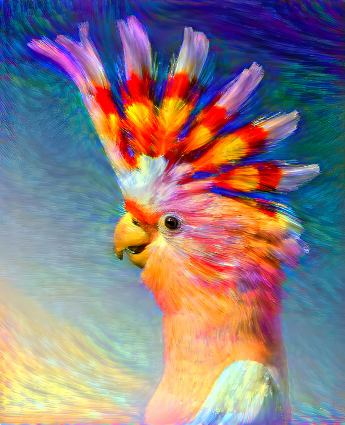 Cockatoo