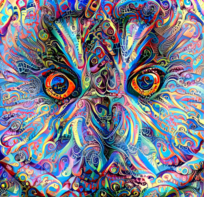 Colorful owl