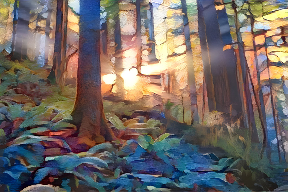 Forest