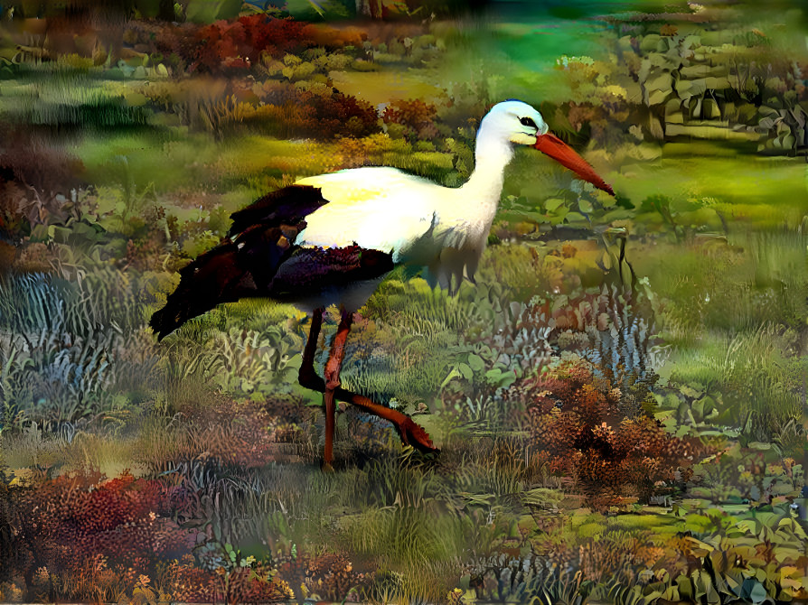 Storch