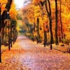 Autumn park scene with golden leaves and street lamps