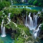 Tranquil waterfall in vibrant forest with lush greenery