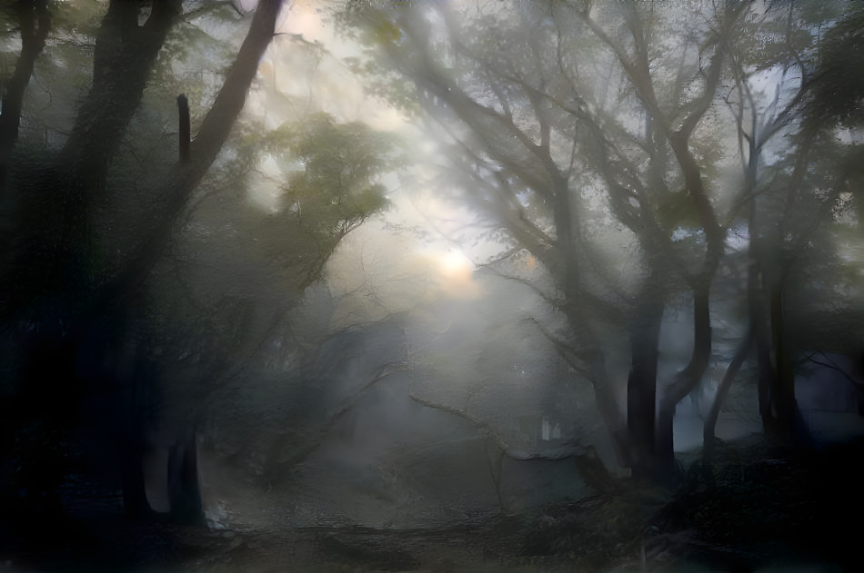 creepy forest