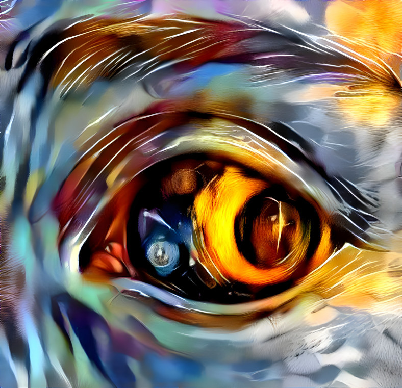 EYE