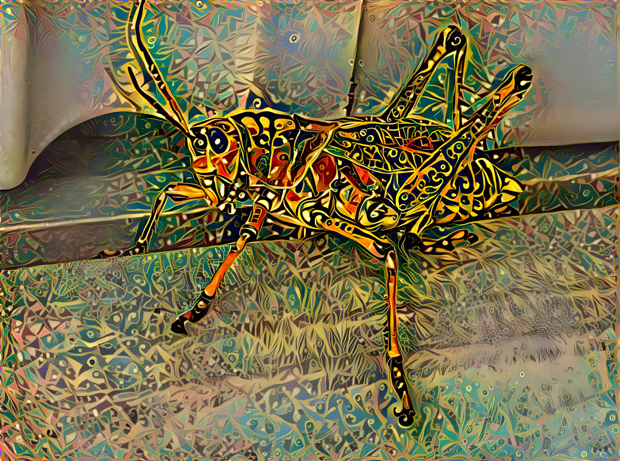 Grasshopper