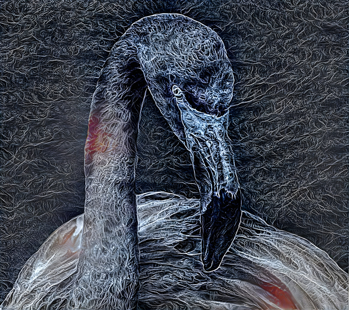 Gray Flamingo