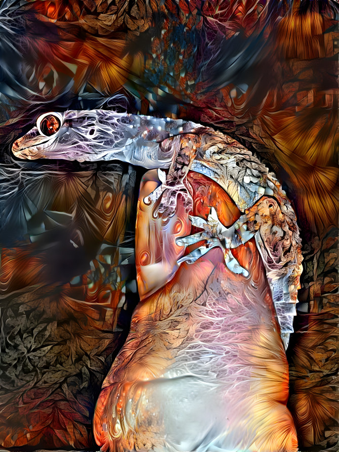 Gecko