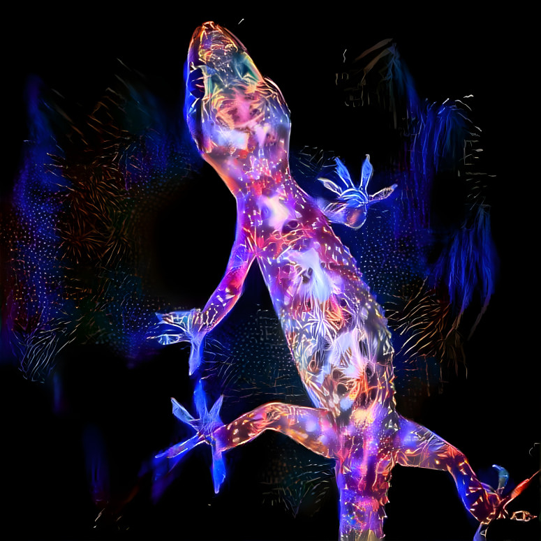 Gecko