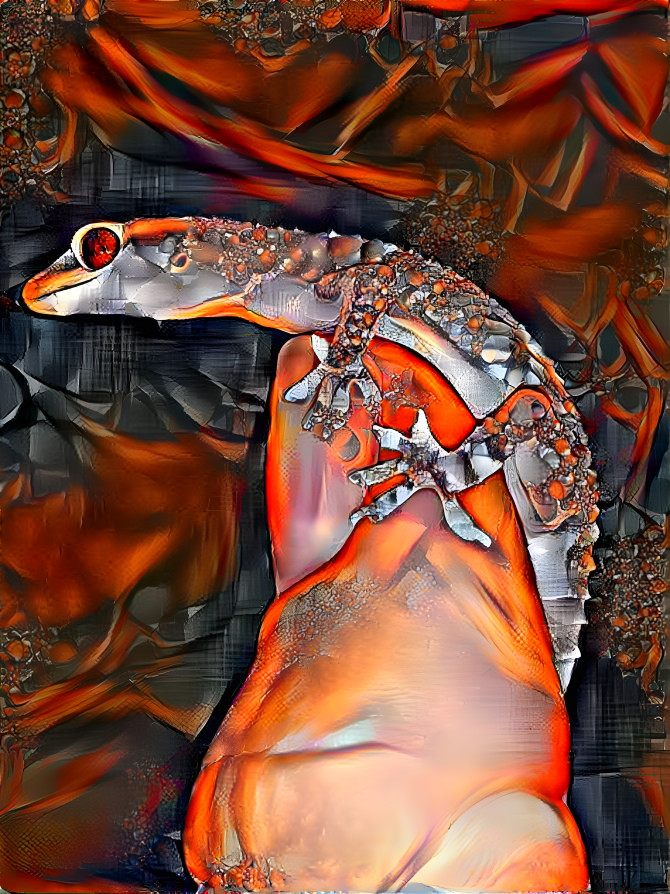 Gecko