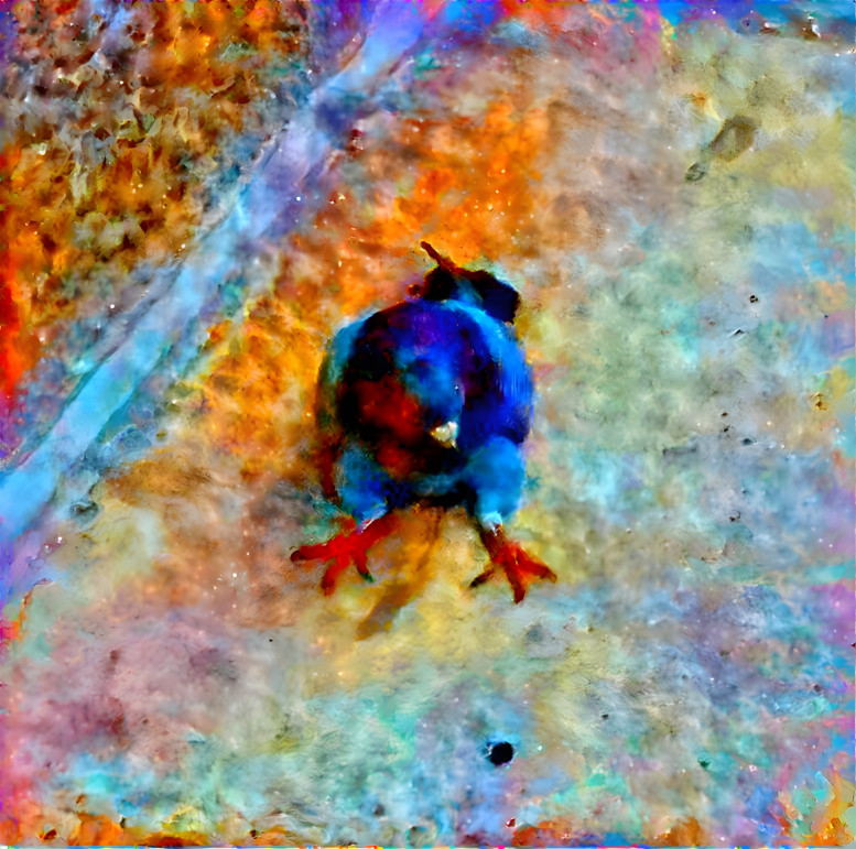 Trippy Pigeon