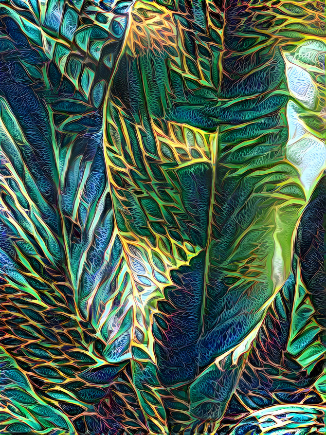 palm leaves