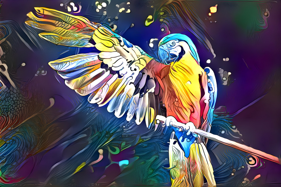 Parrot