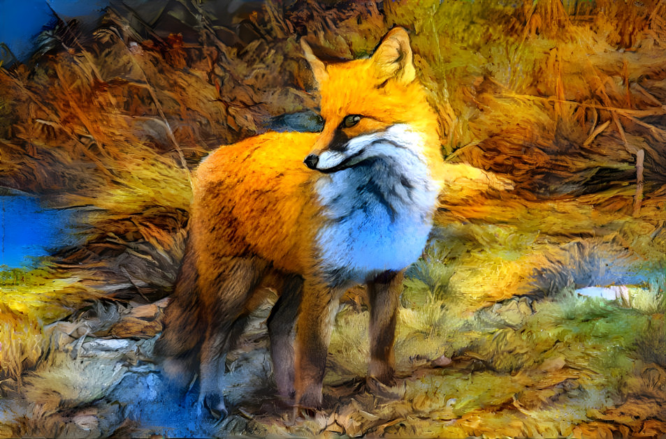 Fox