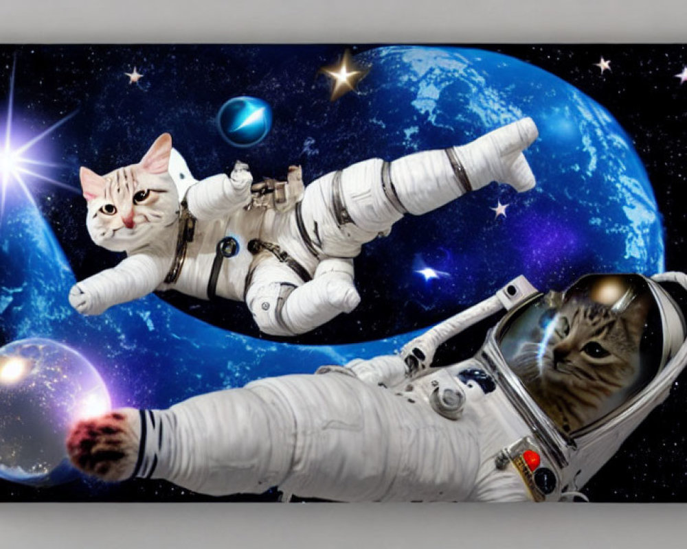 Canvas Art Print: Two Cats as Astronauts in Space