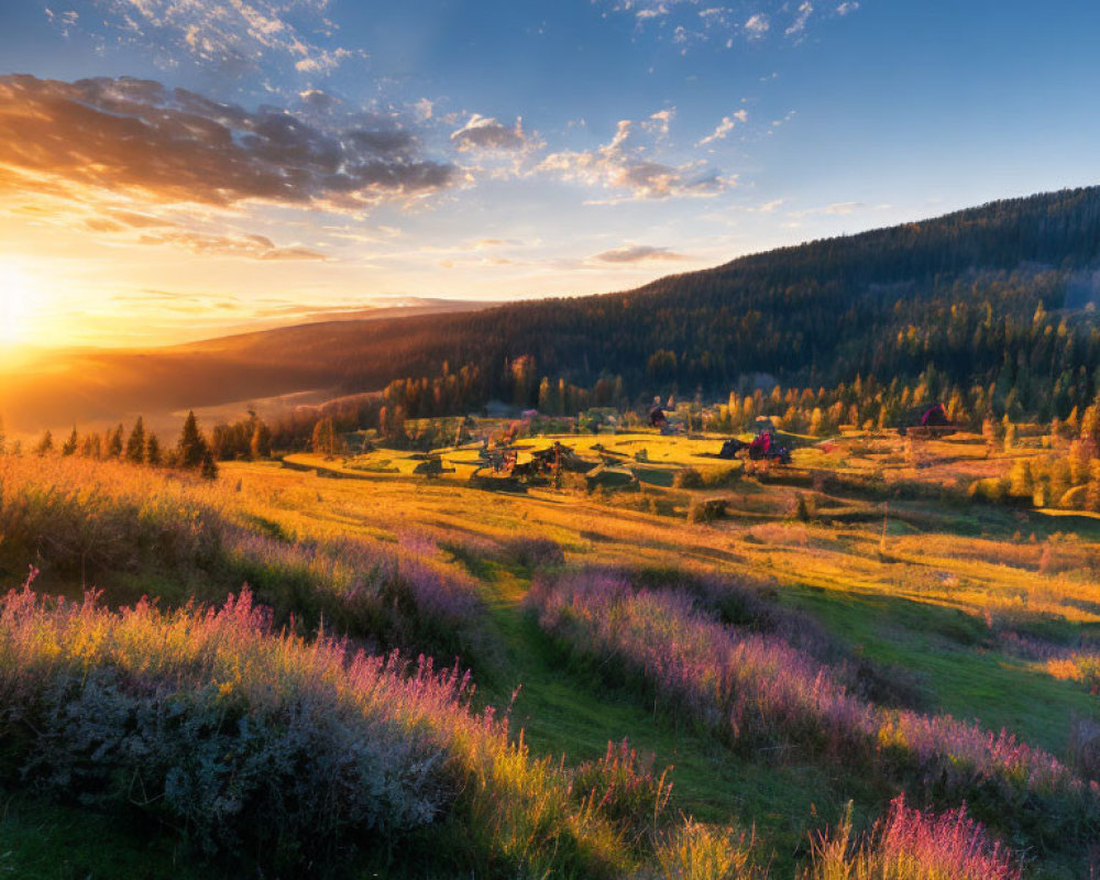 Tranquil rural landscape with sunset, wildflowers, village, and forest.