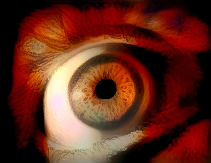 Eye