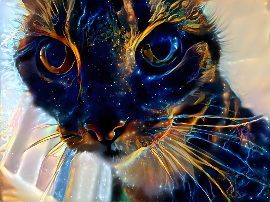 Cosmic cat