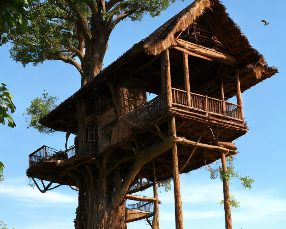 Rustic wooden treehouse with thatched roof in lush green field