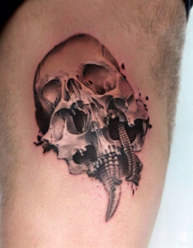 Detailed skull and serpent tattoo on arm with realistic shading