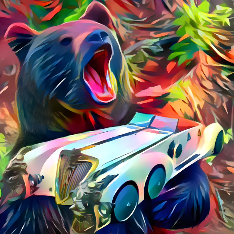 bear car