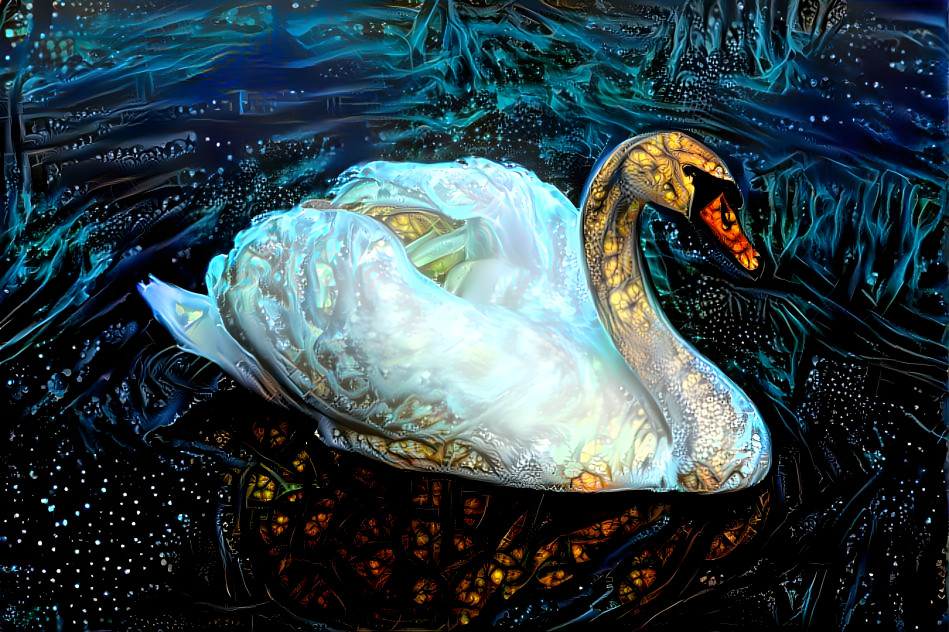 swan2