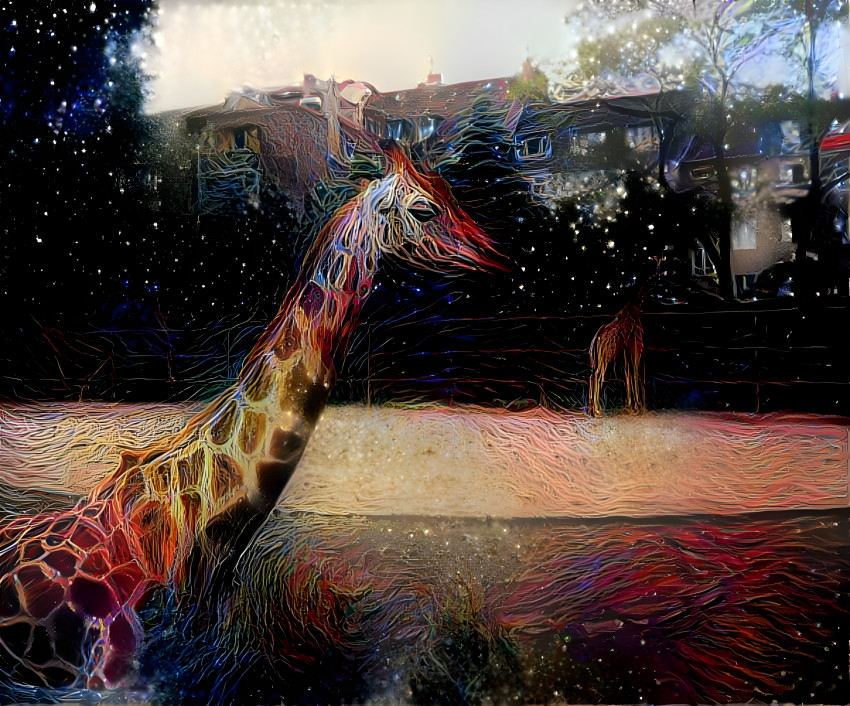 Giraffe