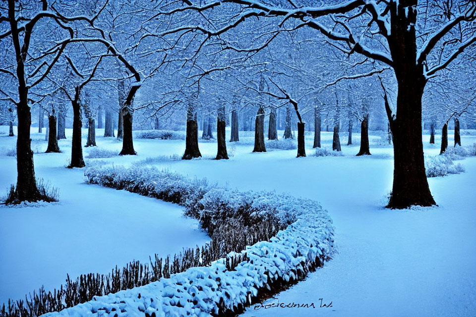 Snow-covered landscape with winding path and bare trees under twilight sky