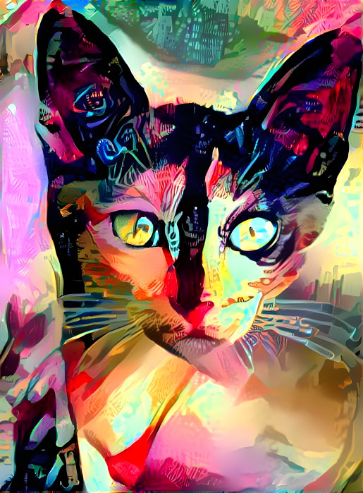 Prismatic Cat