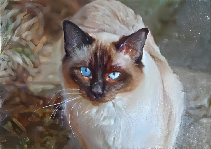 Painted Cat #3