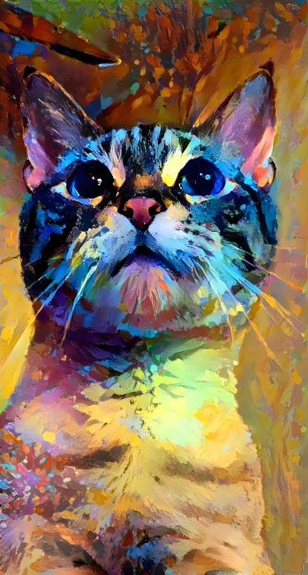 Pride Cat