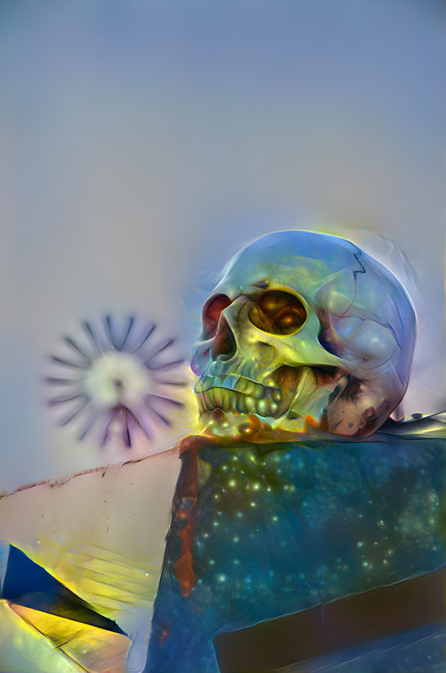 Dada skull